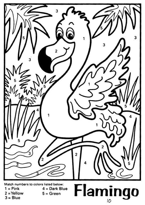 Flamant Rose dans la Nature Coloriage Magique