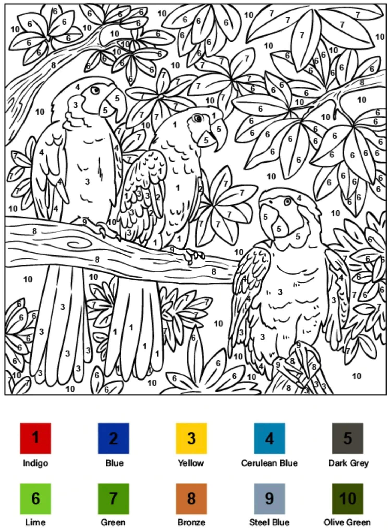 Perroquets dans l'arbre Coloriage Magique