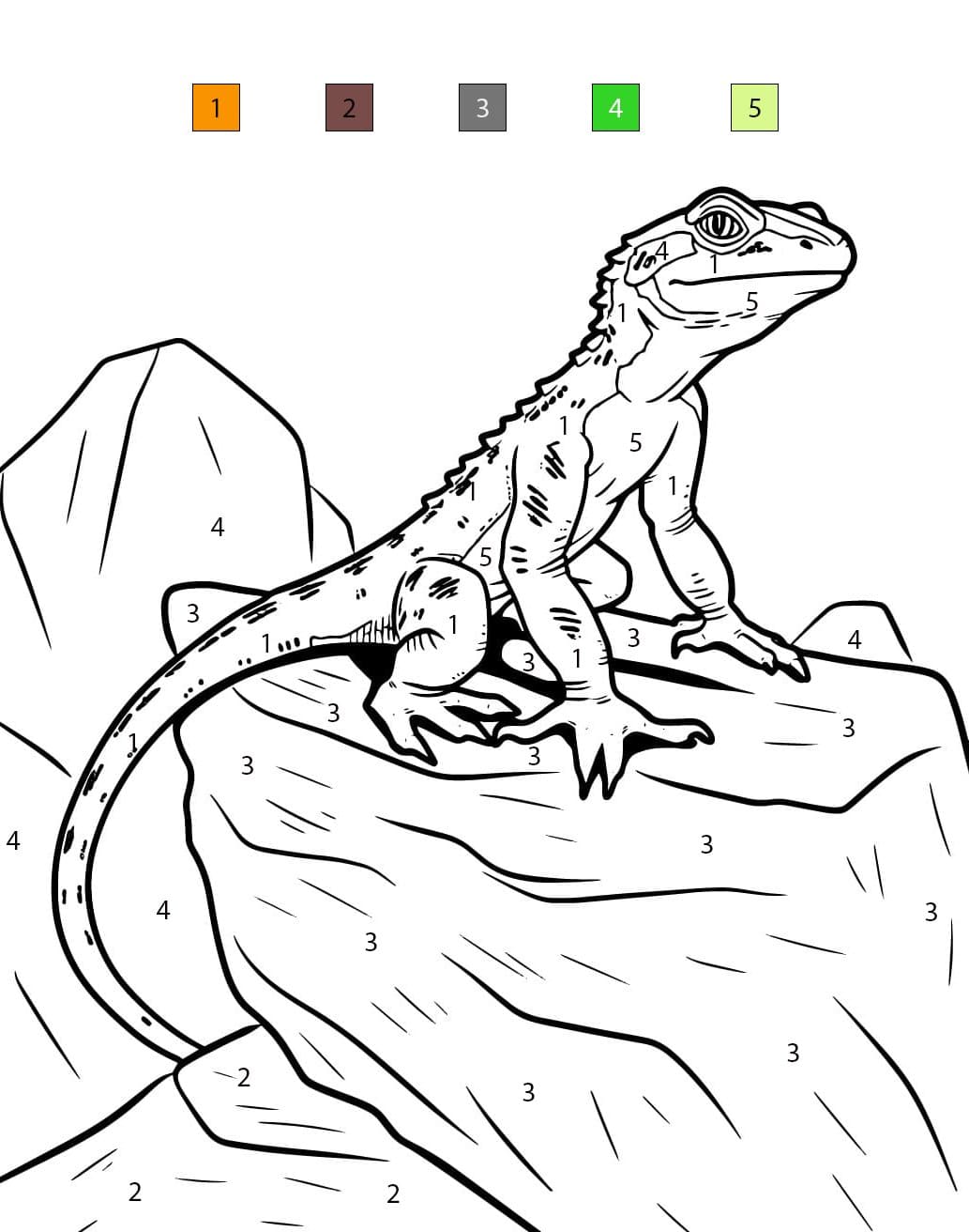 Lézard sur un Rocher Coloriage Magique