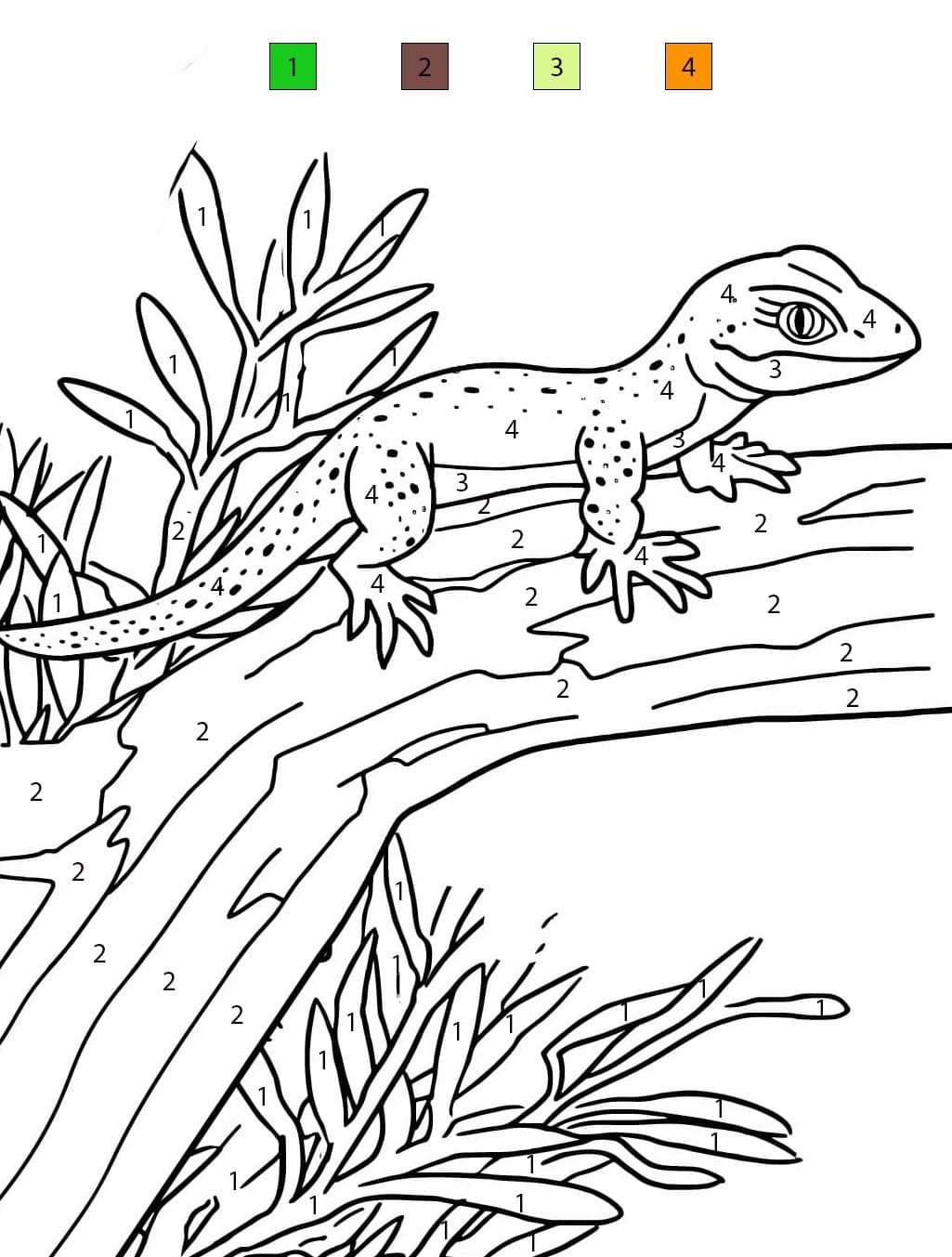 Lézard sur une branche d'arbre Coloriage Magique