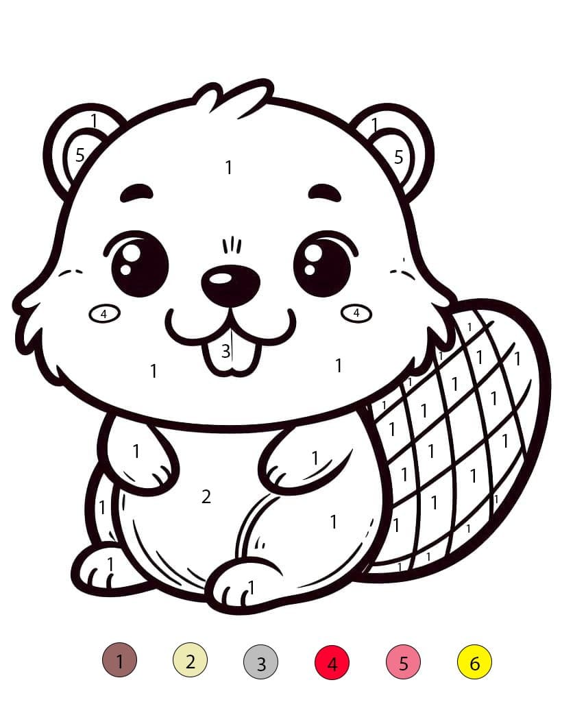 Coloriage Magique Castor