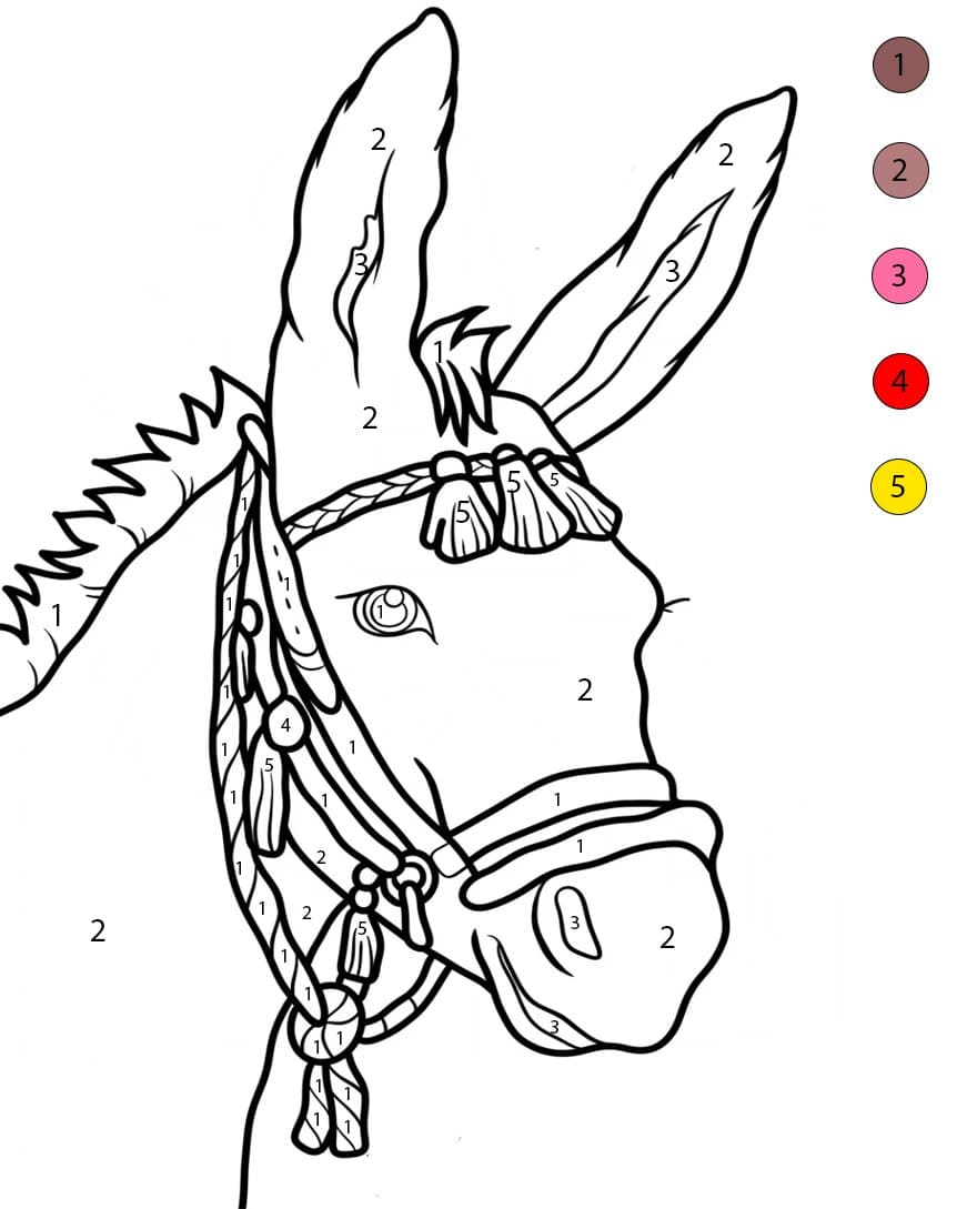 Âne réaliste Coloriage Magique