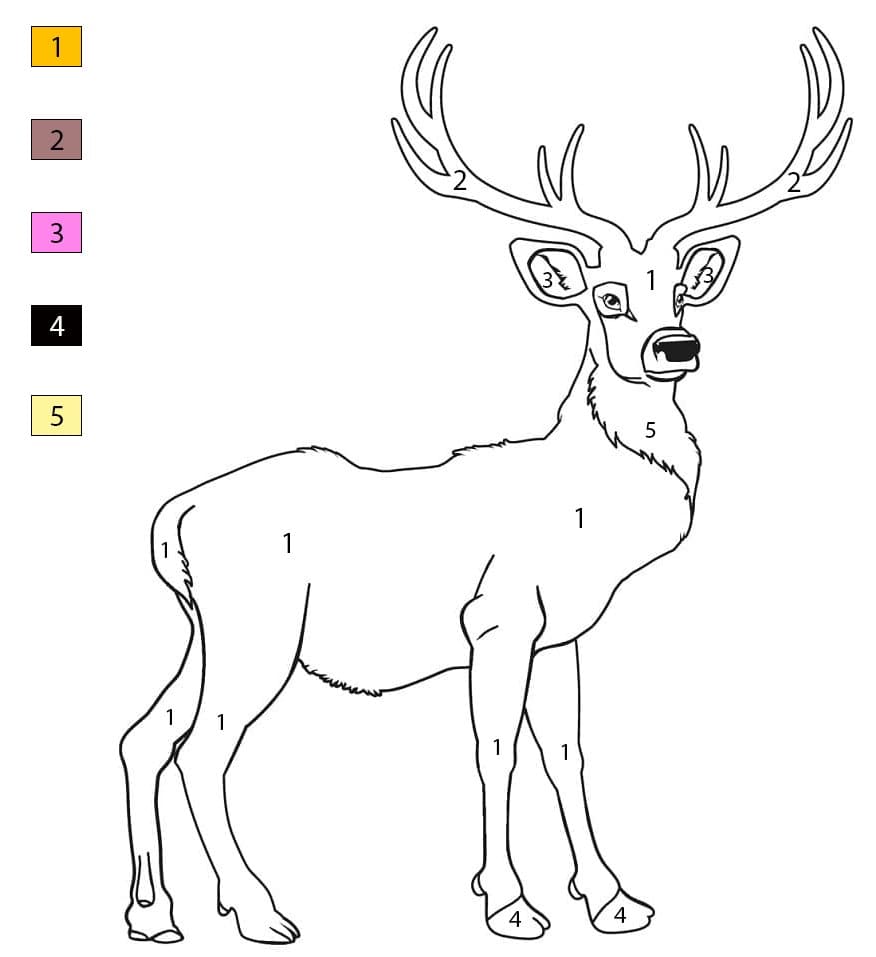 Cerf adulte Coloriage Magique
