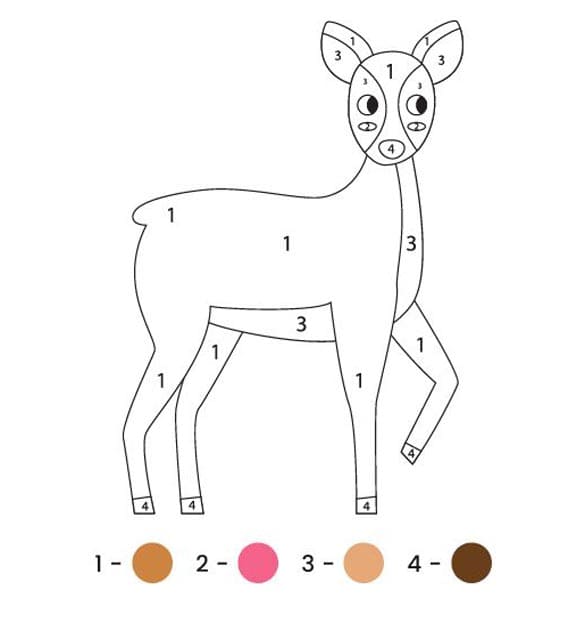 Cerf  Color By Number