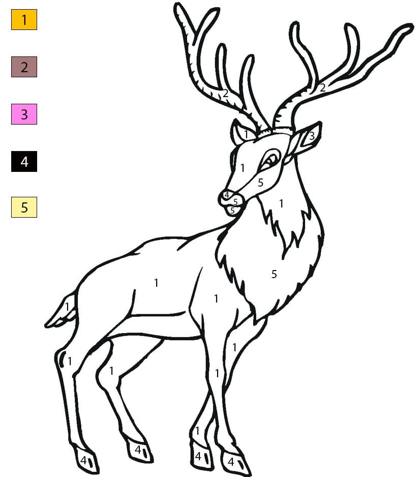 Cerf majestueux Coloriage Magique