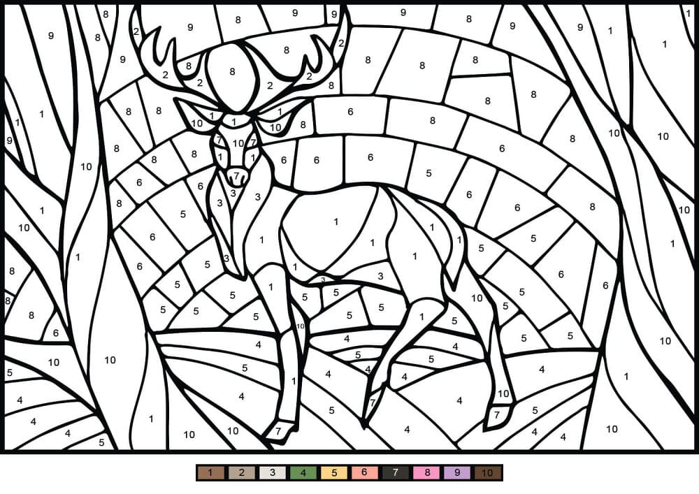 Cerf mystérieux Coloriage Magique