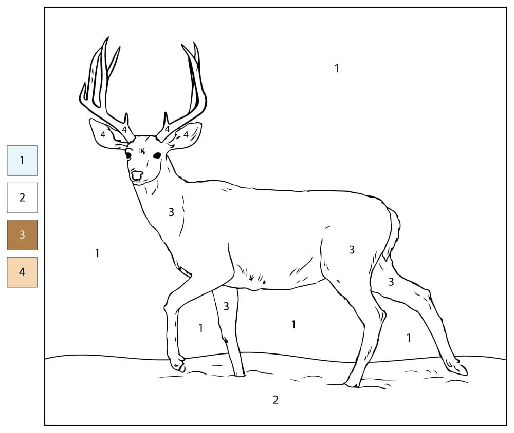Cerf sauvage Coloriage Magique