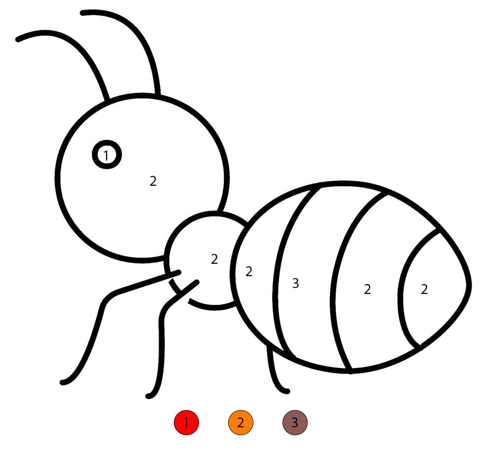 Fourmi facile Coloriage Magique