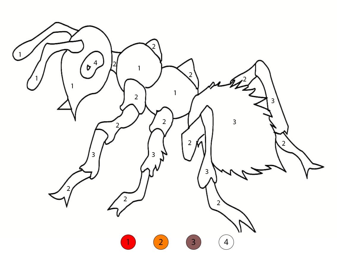 Fourmi réaliste Coloriage Magique