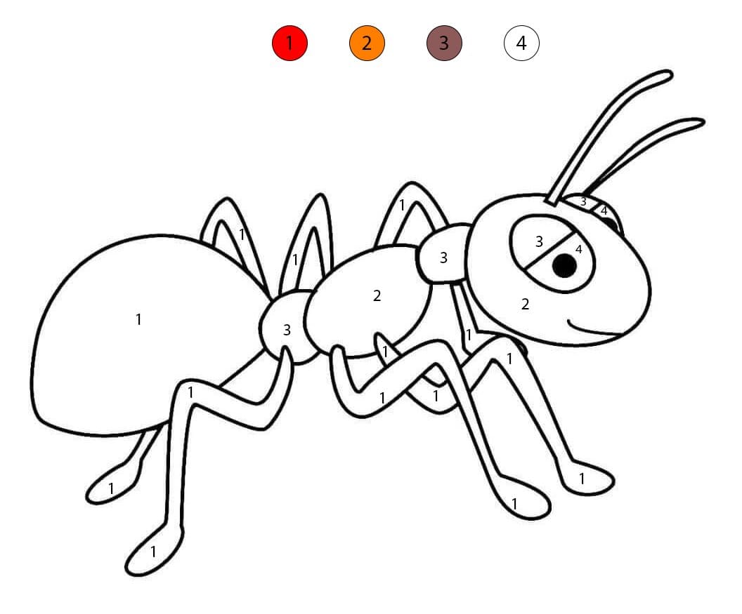 Fourmi rouge Coloriage Magique