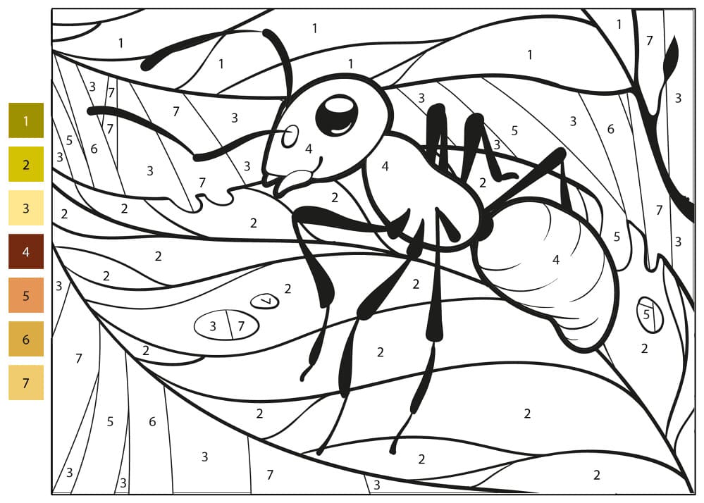Fourmi sur une feuille Coloriage Magique
