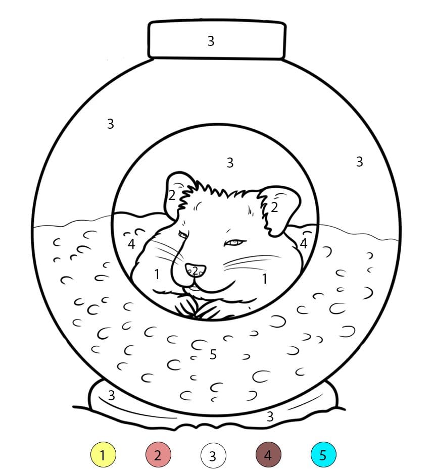 Hamster Dort Coloriage Magique