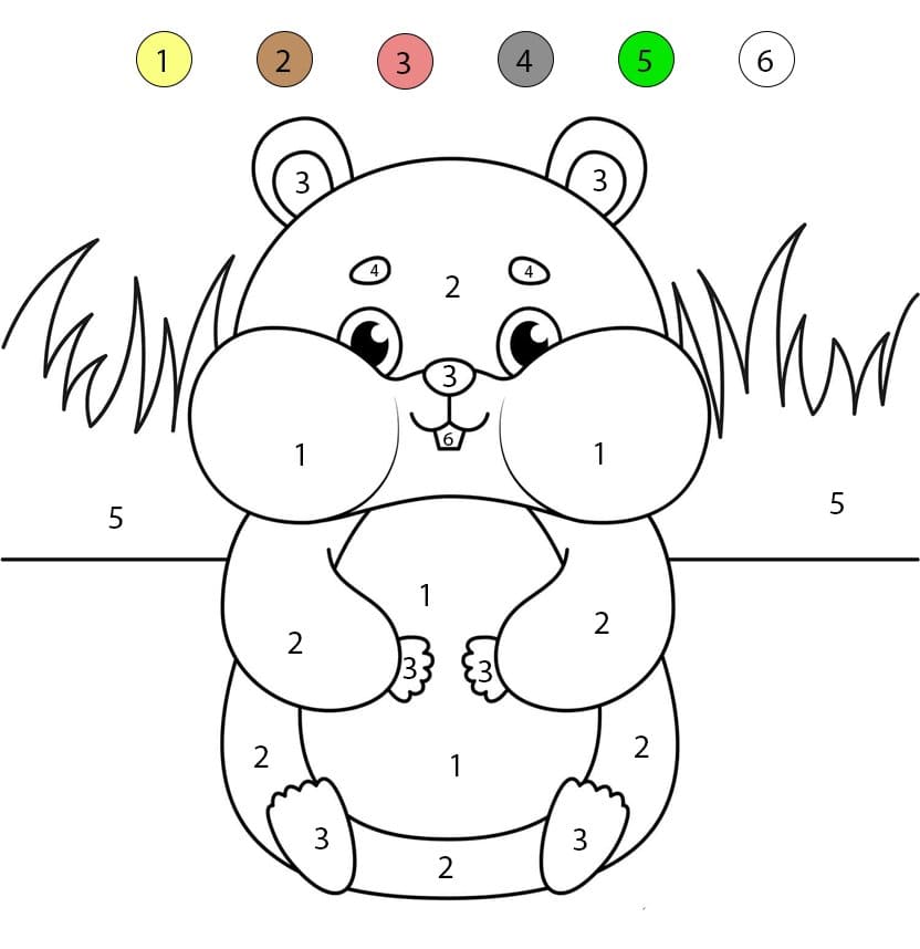 Hamster Potelé Coloriage Magique