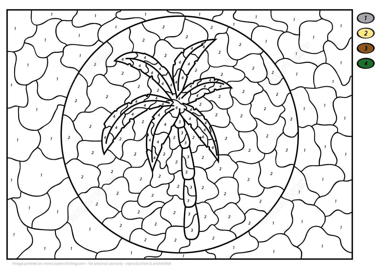 Palmier dur Coloriage Magique