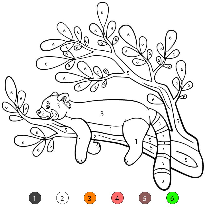 Panda roux dans l'arbre Coloriage Magique