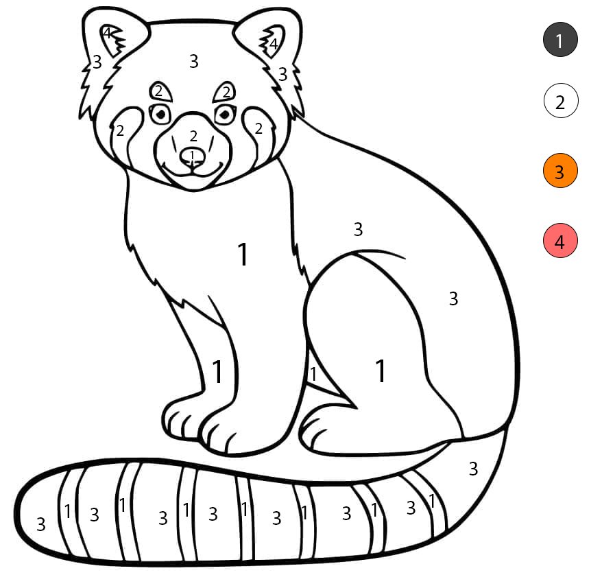 Panda roux gratuit Coloriage Magique
