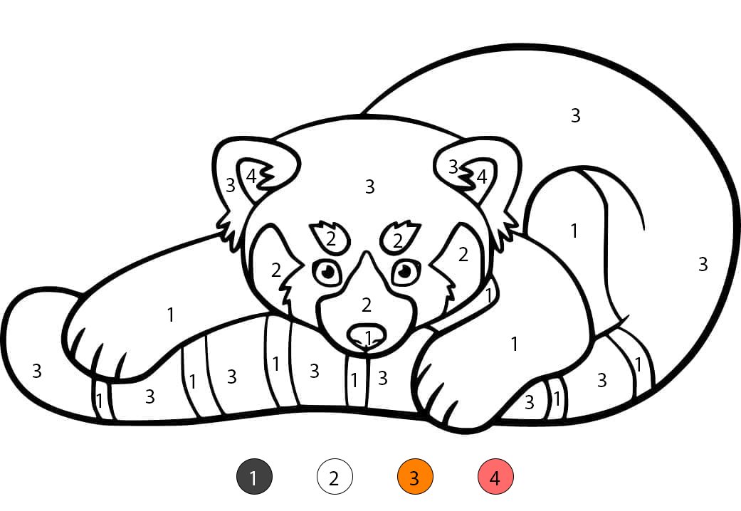 Panda roux joueur Coloriage Magique
