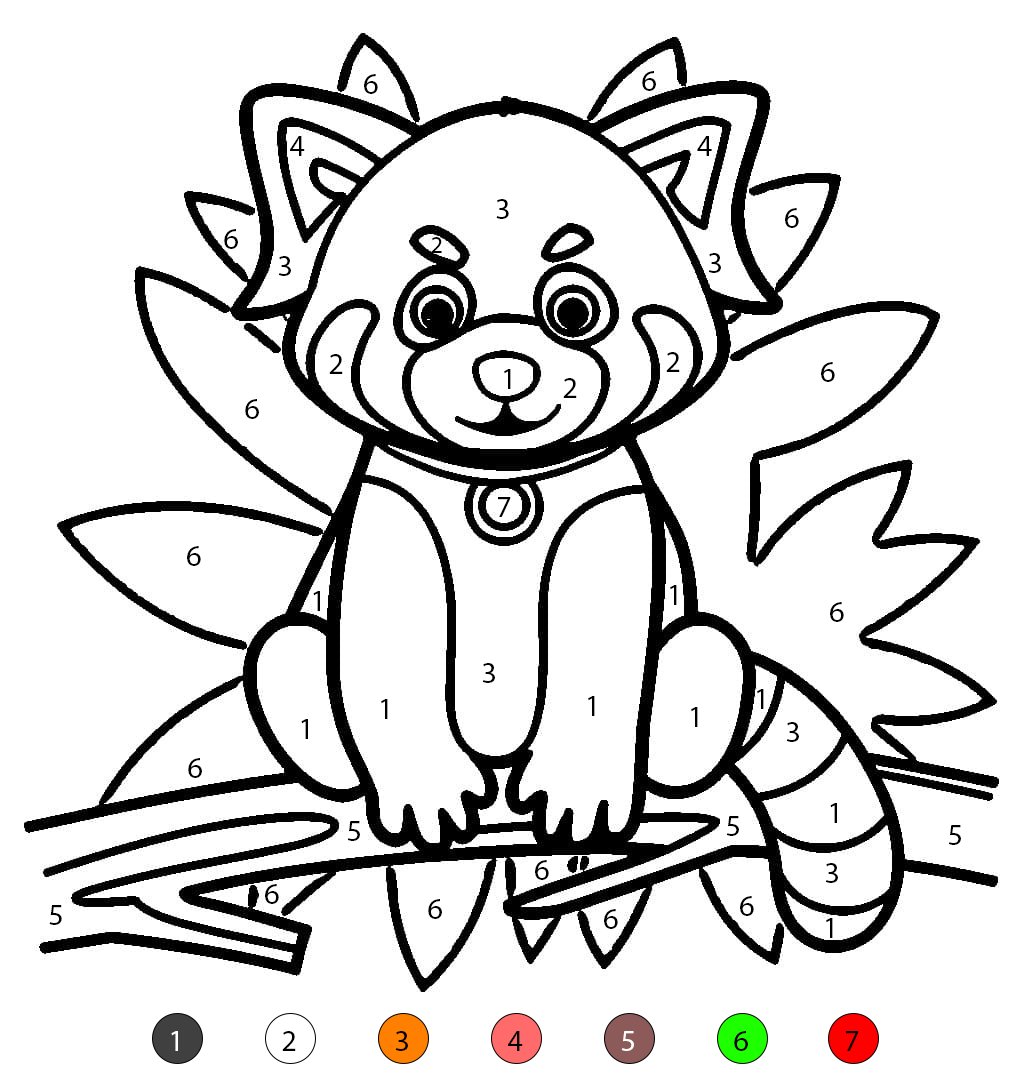 Coloriage Magique Panda Roux