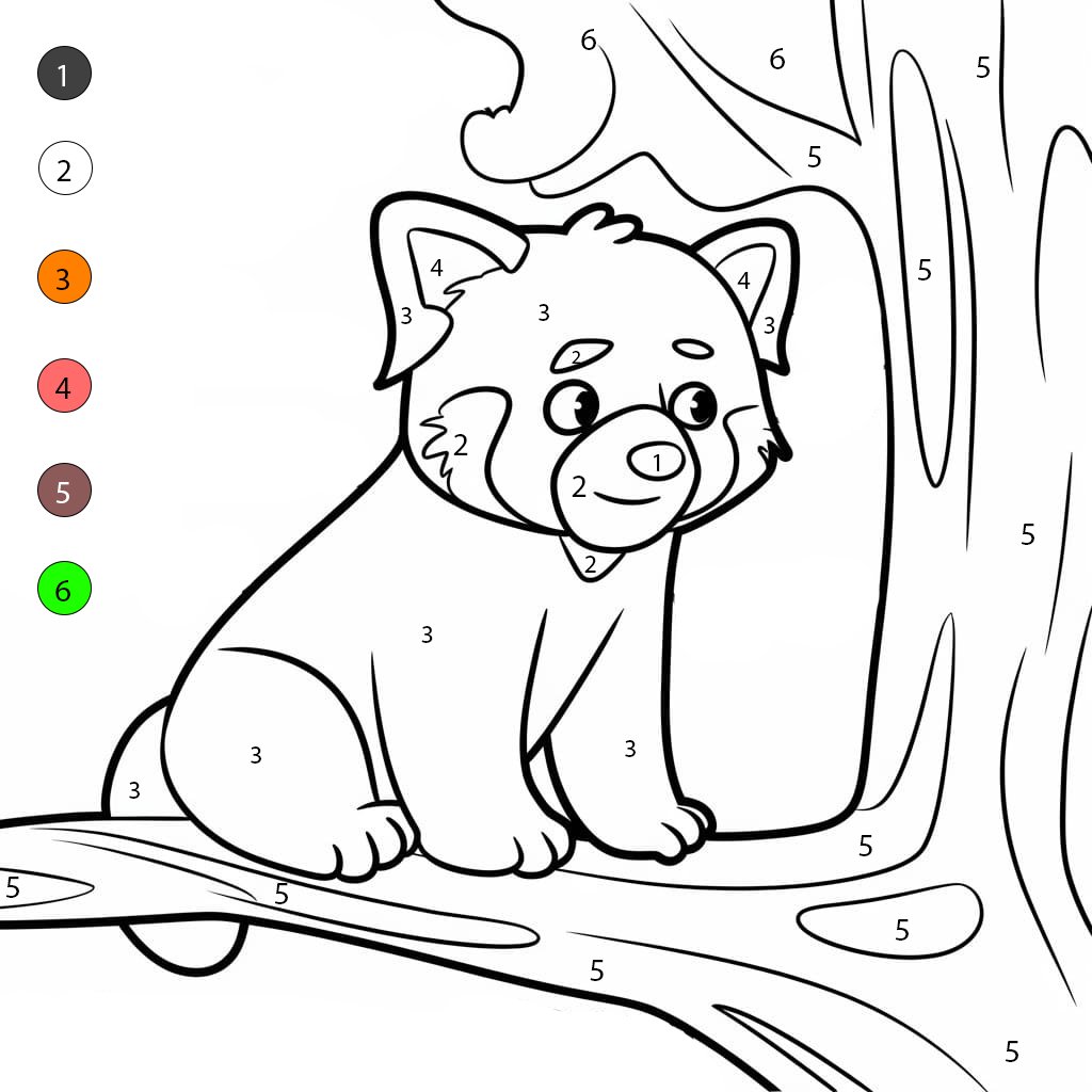 Panda roux sur la branche Coloriage Magique