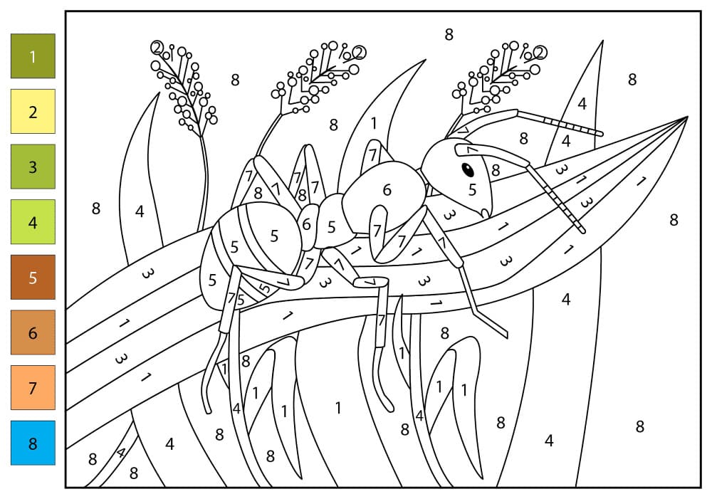Petite fourmi Coloriage Magique