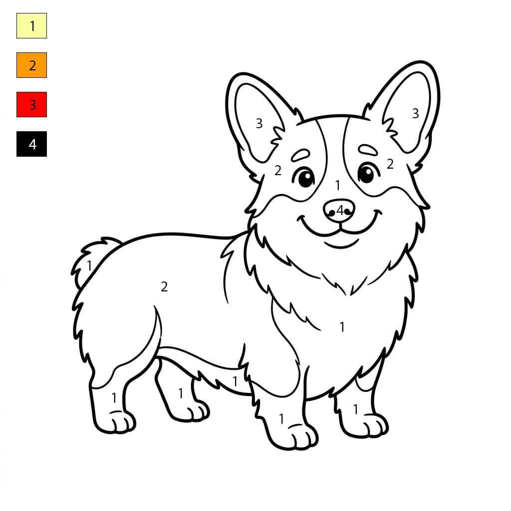 Chien Corgi Coloriage Magique