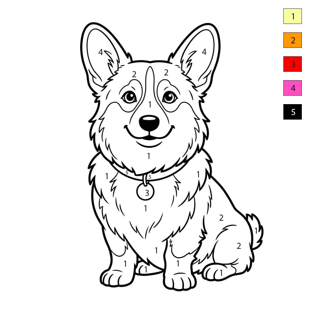 Corgi adorable Coloriage Magique
