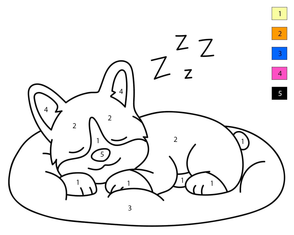 Corgi endormi Coloriage Magique