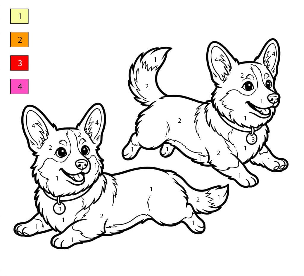 Corgi joyeux Coloriage Magique