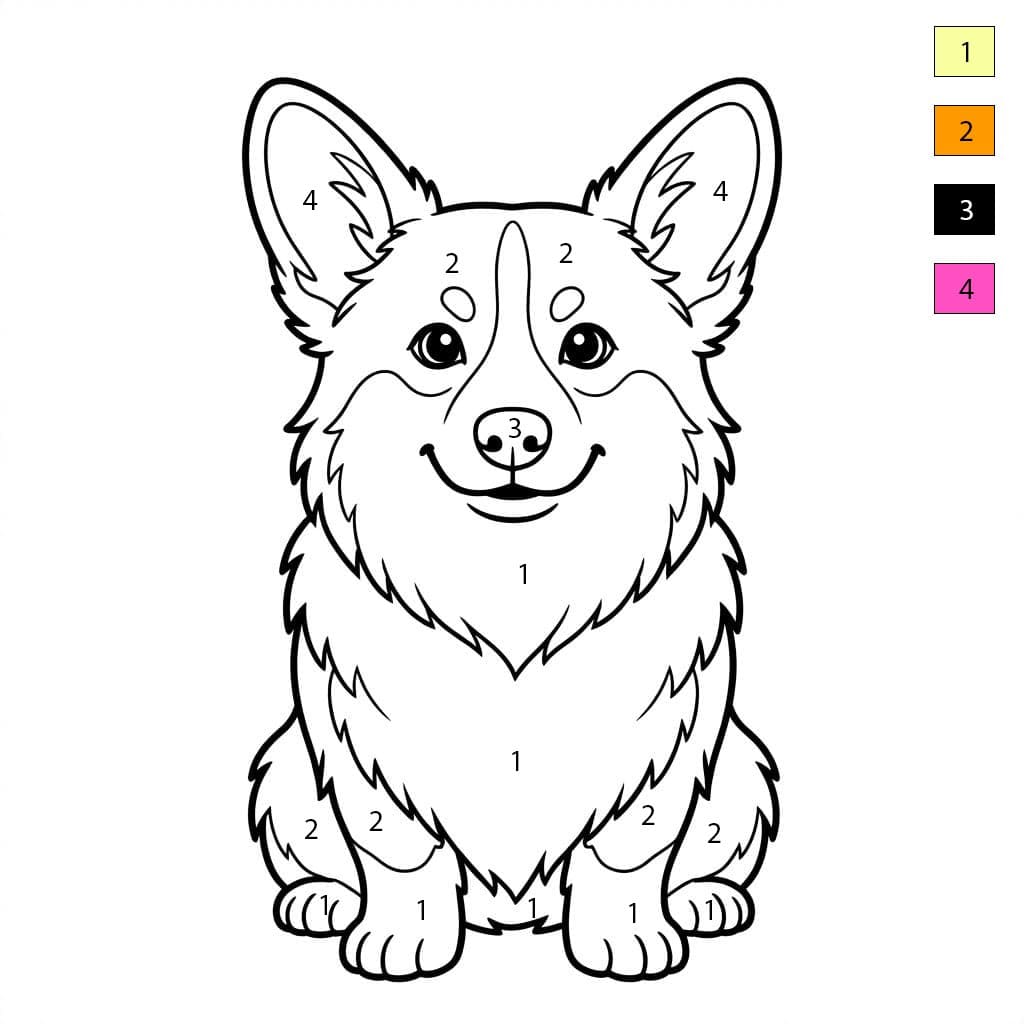 Corgi potelé Coloriage Magique