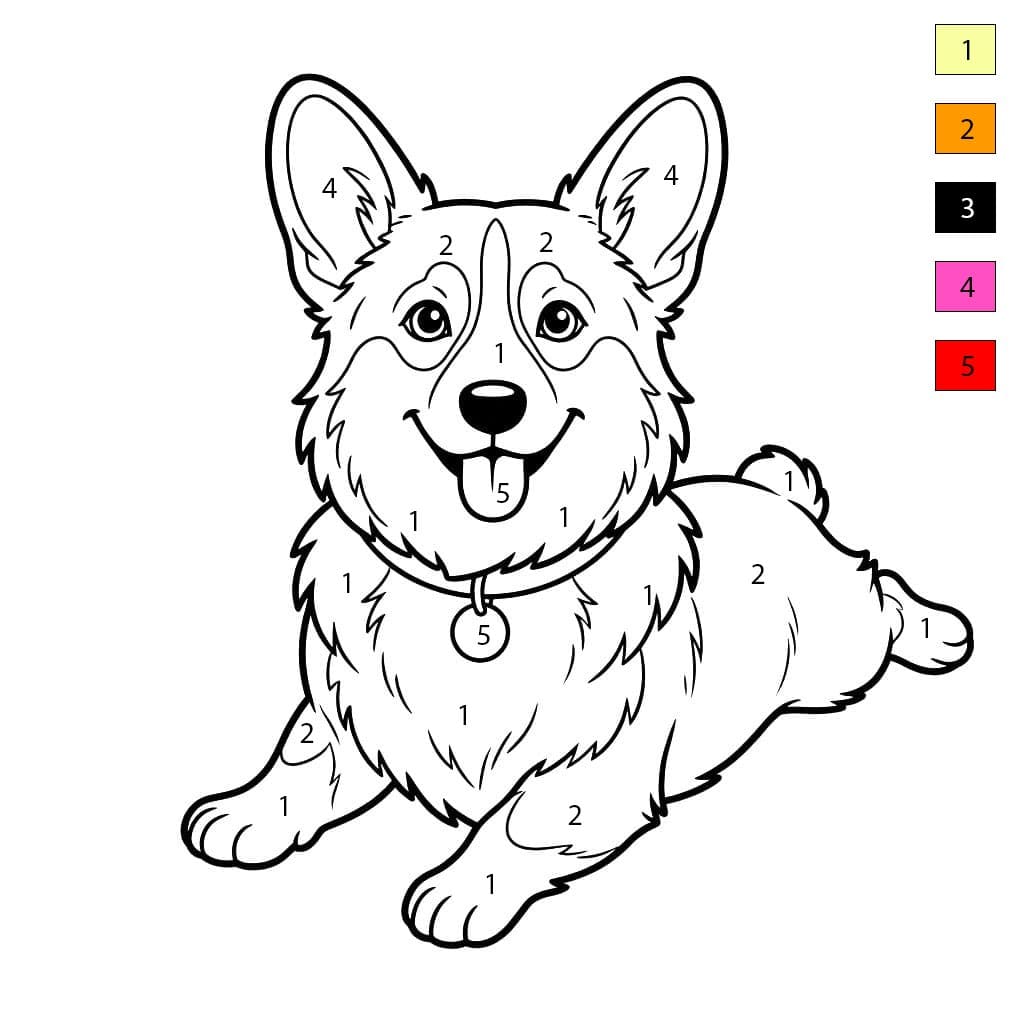 Corgi souriant Coloriage Magique