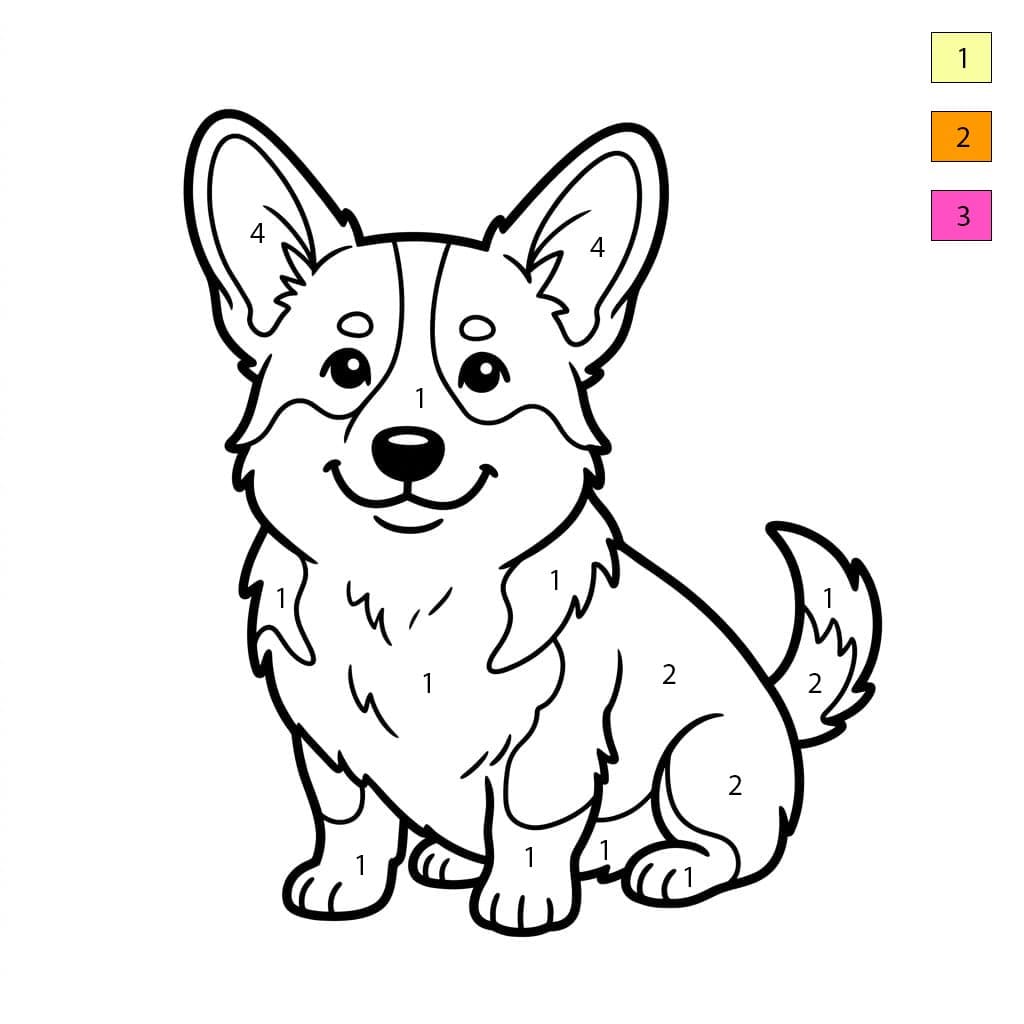Corgi tout duveteux Coloriage Magique