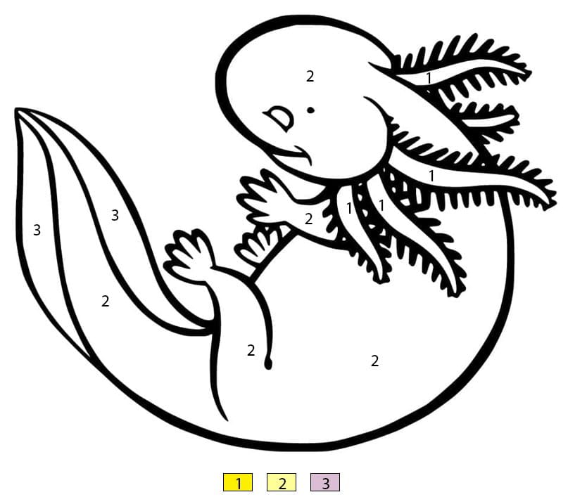 Axolotl détaillé Coloriage Magique