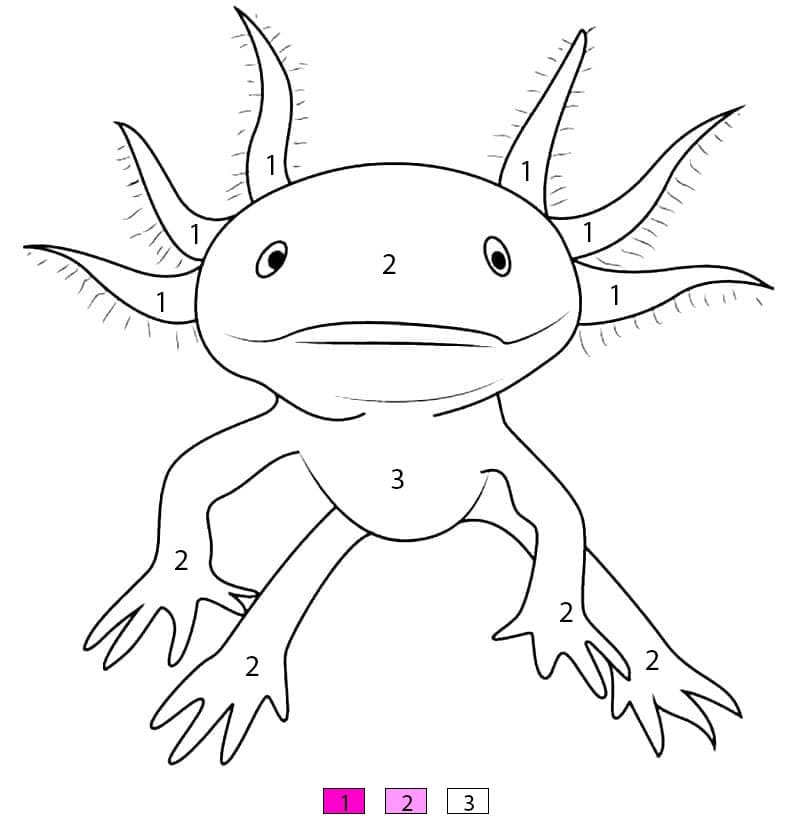 Axolotl rigolo Coloriage Magique