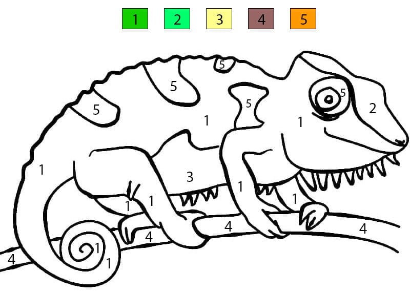 Caméléon curieux Coloriage Magique
