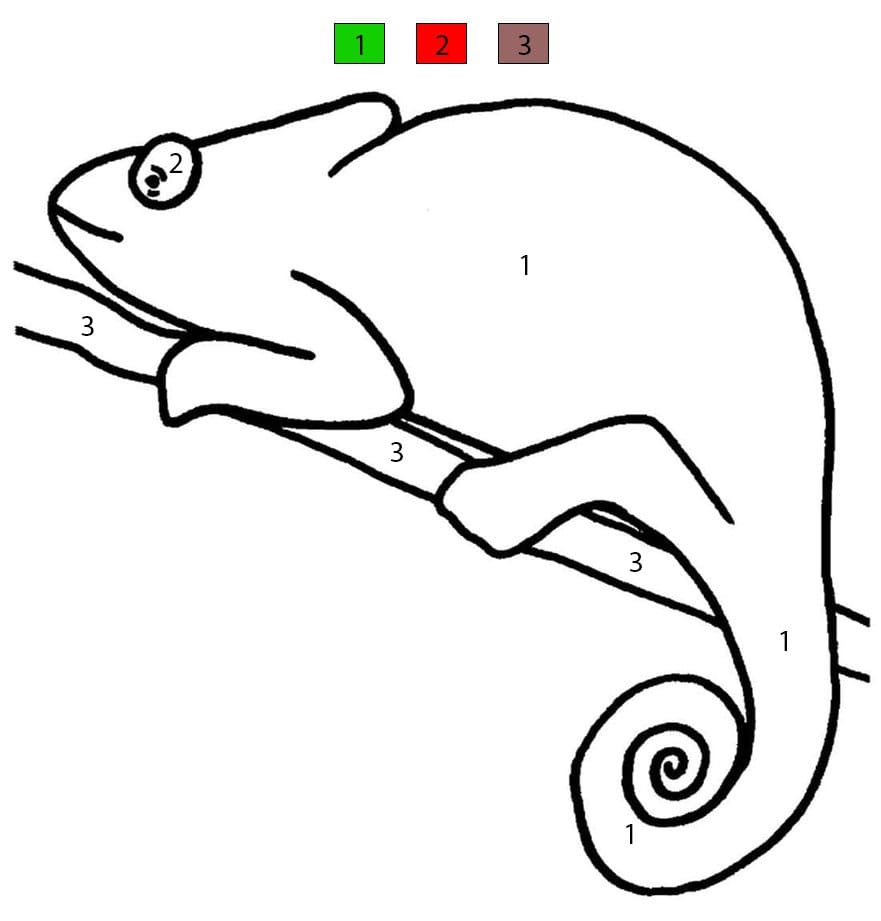 Caméléon tropical Coloriage Magique