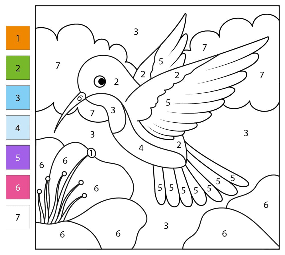 Colibri Ailé Coloriage Magique