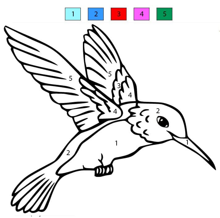 Colibri Brillant Coloriage Magique