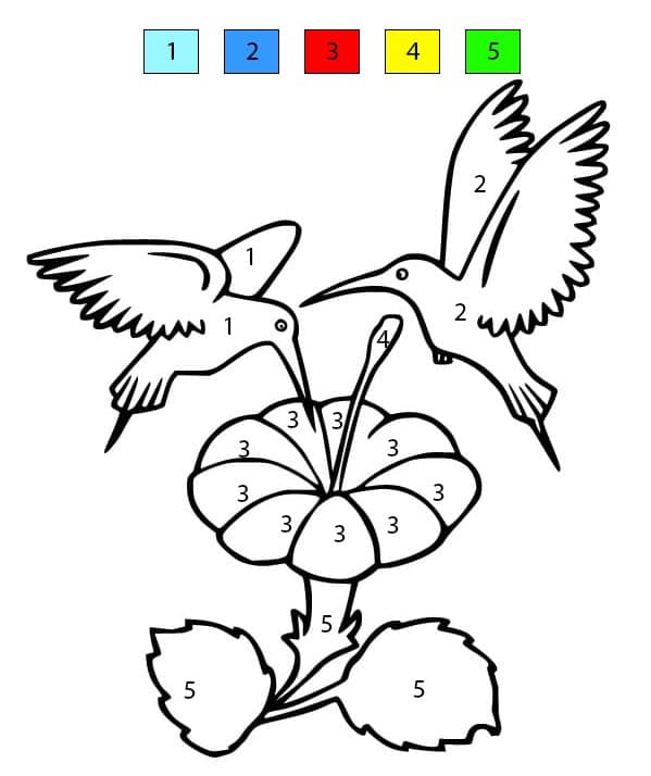 Colibri Enchanté Coloriage Magique