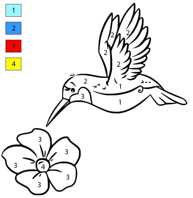 Colibri Fleuri Coloriage Magique