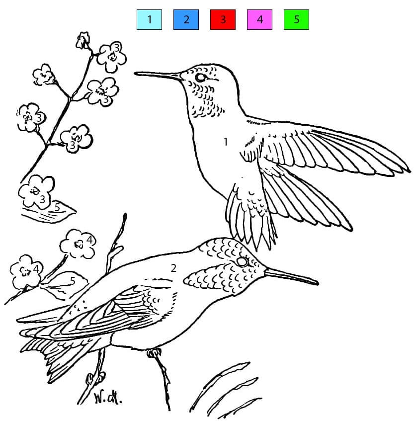 Colibri Heureux Coloriage Magique