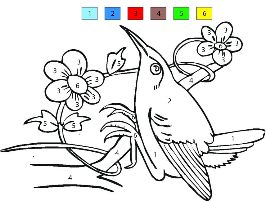 Colibri Joyeux Coloriage Magique