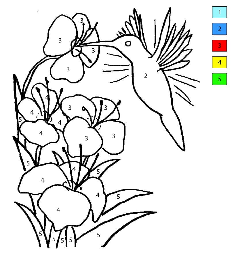 Colibri Printanier Coloriage Magique