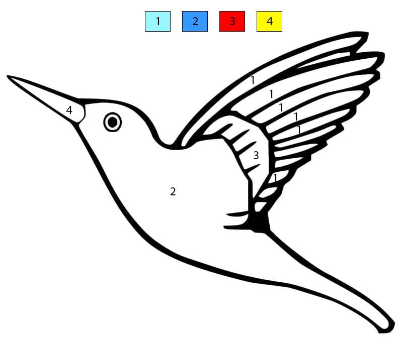 Colibri Tropical Coloriage Magique