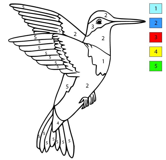 Colibri Volant Coloriage Magique