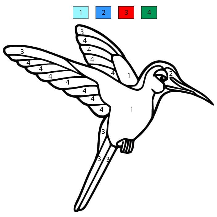 Colibri au Jardin Coloriage Magique