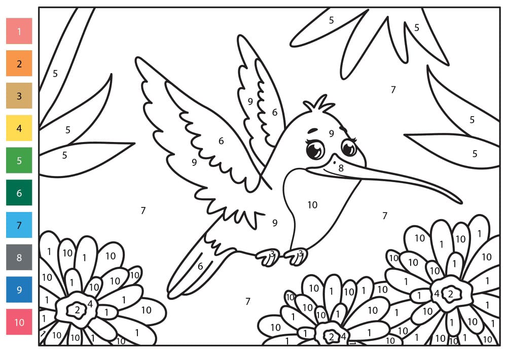 Joli Colibri Coloriage Magique
