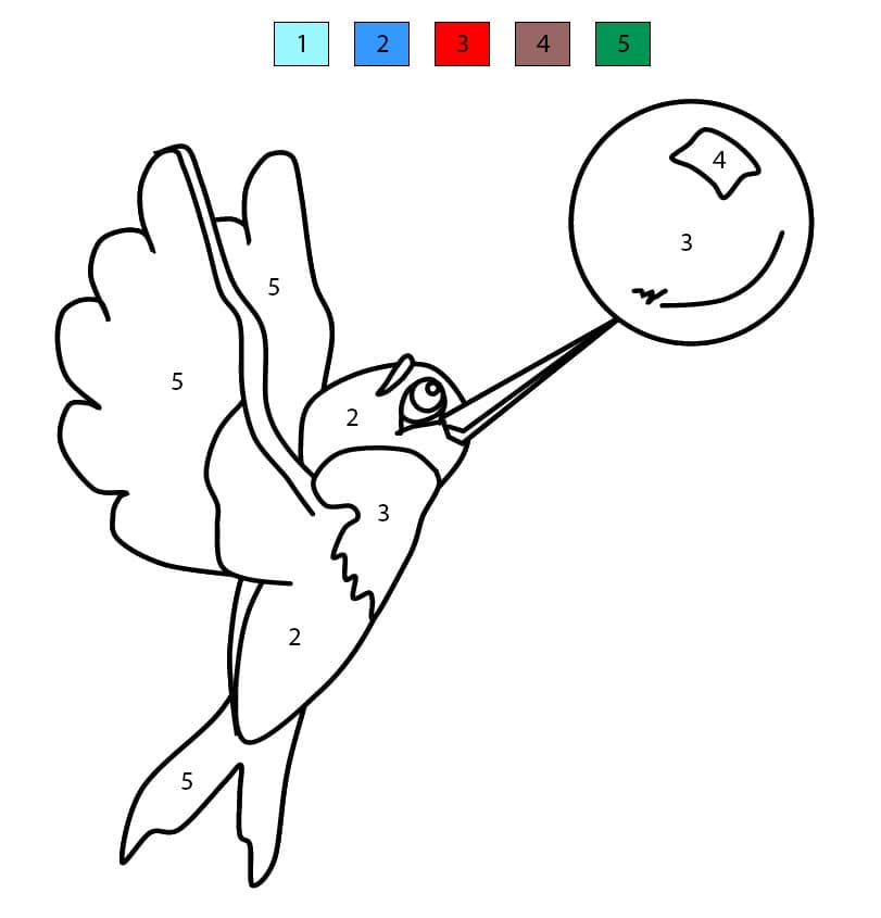 Petit Colibri Coloriage Magique