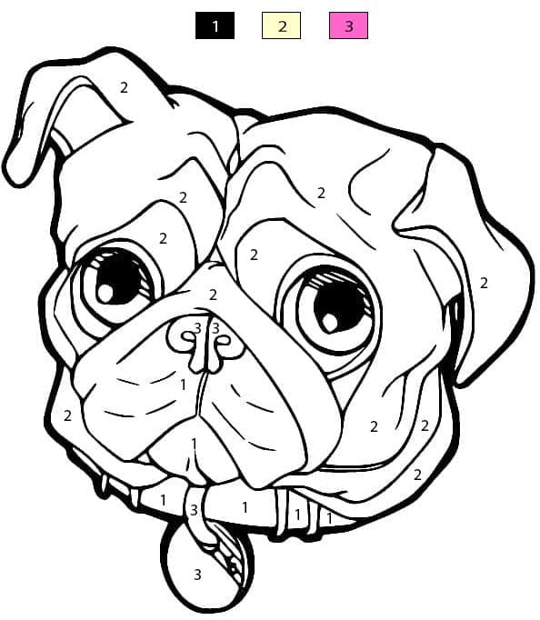 Carlin câlin Coloriage Magique