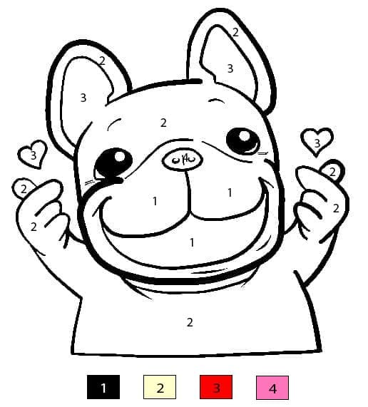 Carlin charmant Coloriage Magique