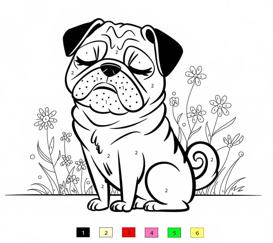 Carlin espiègle Coloriage Magique
